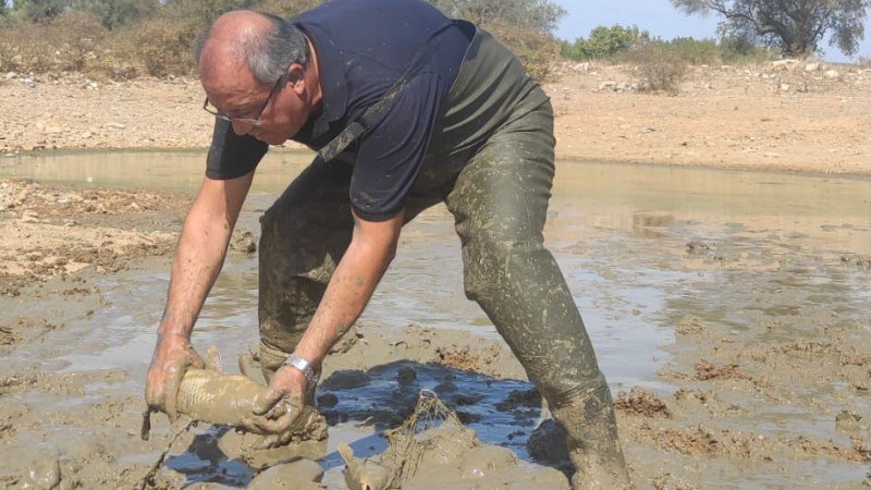 Kuruyan Göletteki Balıklar Kurtarıldı