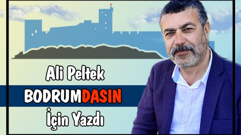 Tamer Bey'in Devesi 