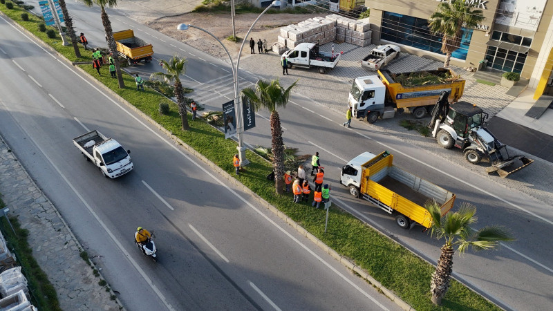 Belediyeden Ağaç Budama Çalışması