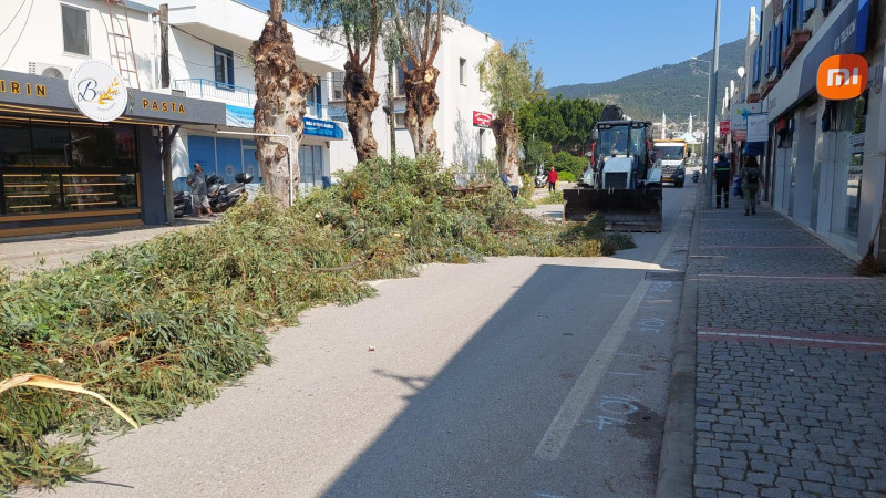 Kapsamlı Temizlik Çalışmaları, Müskebi’den Başladı