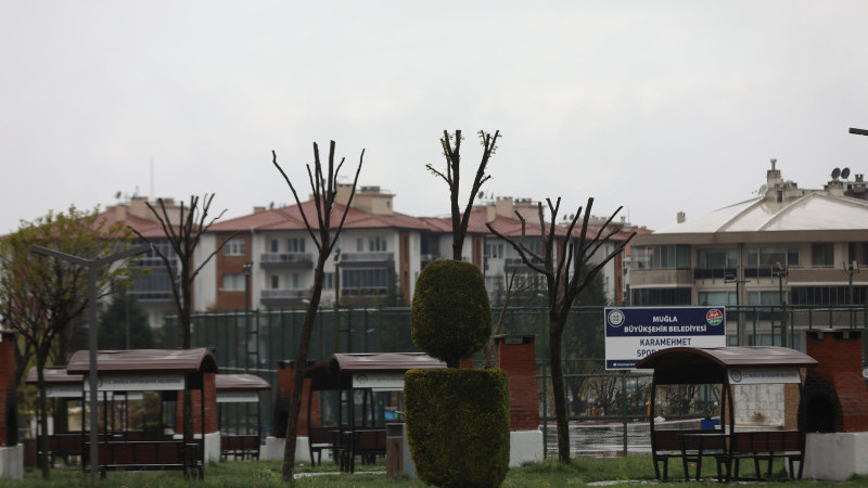 Muğla’da Ağaçlara Gençlik Aşısı: Hem Doğa Hem Güvenlik İçin Budama