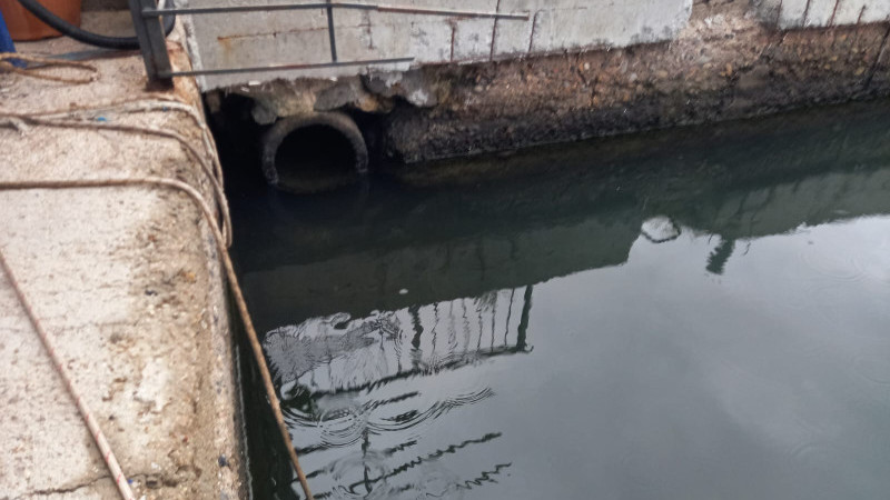 Turgutreis Balıkçı Barınağındaki Koku Kabusu Bitti!