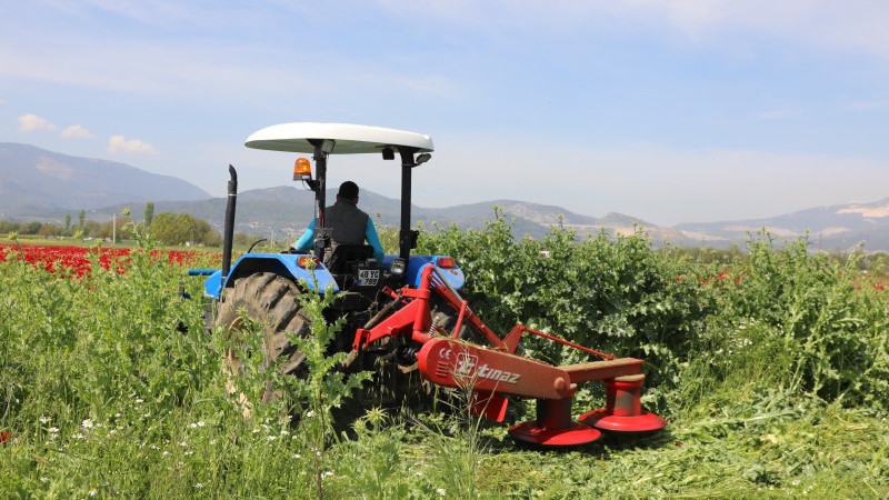 Büyükşehir’den Üreticilere Ücretsiz Yem Bitkisi Tohumu Desteği