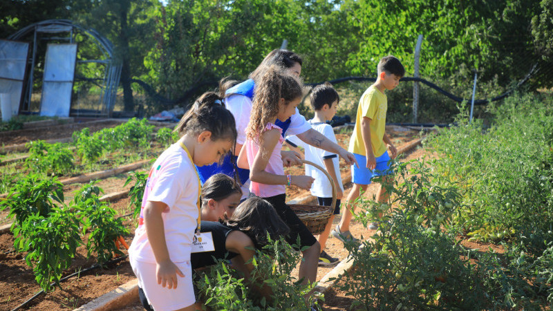 Muğla’da Minik Eller Hasat Sevinci Yaşadı