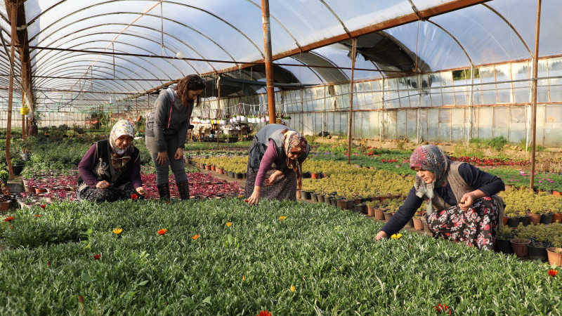 Büyükşehir Kadın Emeğiyle Yerel Kalkınmayı Güçlendiriyor