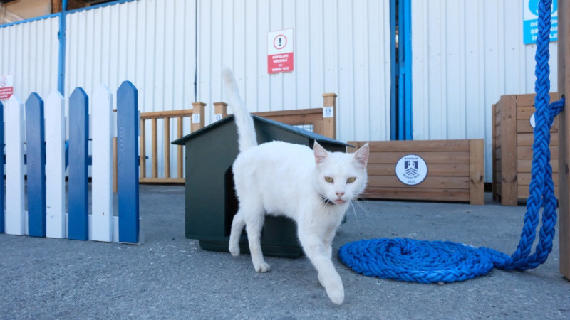 Belediyeden Kent Estetiğine Yeni Dokunuşlar