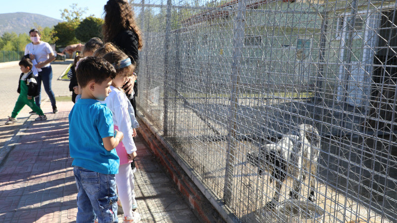 Büyükşehir’den 4 bin 34 Can Dosta Yeni Yuva