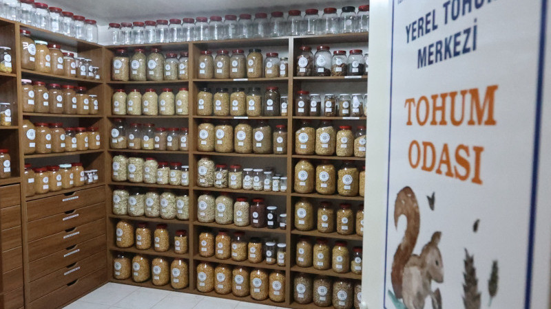 Muğla’nın Ata Tohumları Ülke Toprakları ile Buluşmaya Devam Ediyor