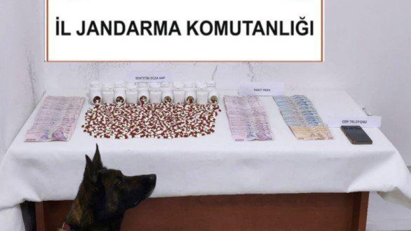 Muğla'da Narkotik Operasyonları: 25 Gözaltı