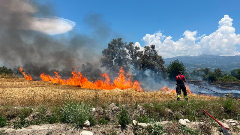 Seydikemer ve Ortaca'da Yangın Hareketliliği