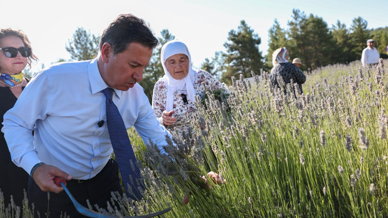 Koku Vadisi’nde Lavanta Hasadı Şenlikle Başladı