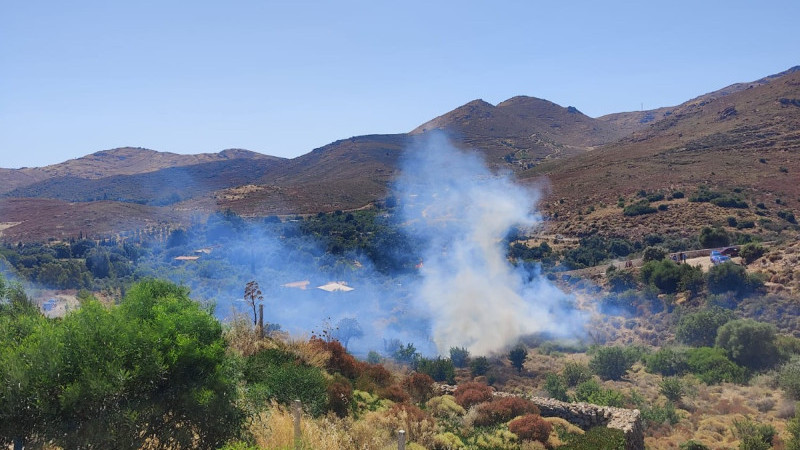 Bodrum’da Korkutan Makilik Alan Yangını: Ekipler Havadan ve Karadan Müdahale Ediyor