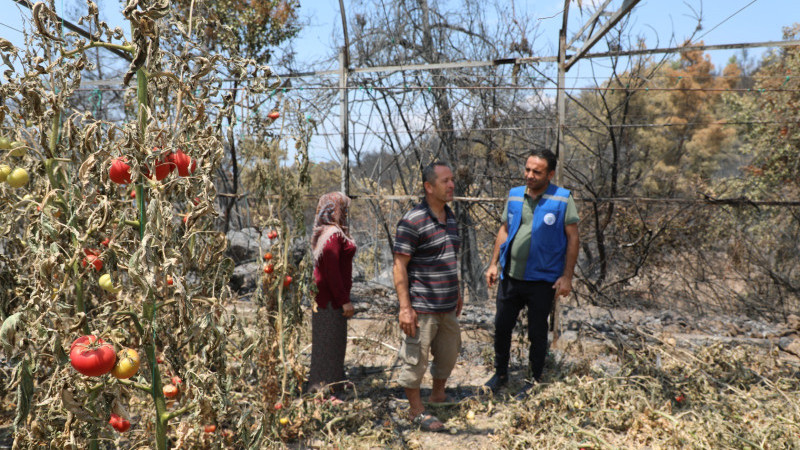 Seydikemer’de Yaralar Hızla Sarılıyor